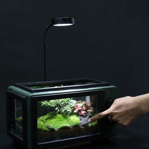 a person touching a fish tank with a light on it